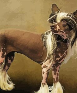 Aesthetic Chinese Crested Dog Paint By Numbers