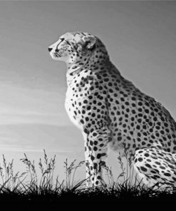 Aesthetic Black And White Cheetahs Paint By Number