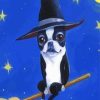 Aesthetic Boston Terrier Witch Paint By Numbers