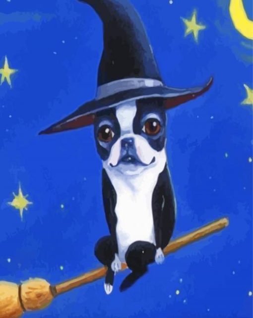 Aesthetic Boston Terrier Witch Paint By Numbers