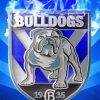 Aesthetic Canterbury Bulldogs Paint By Numbers