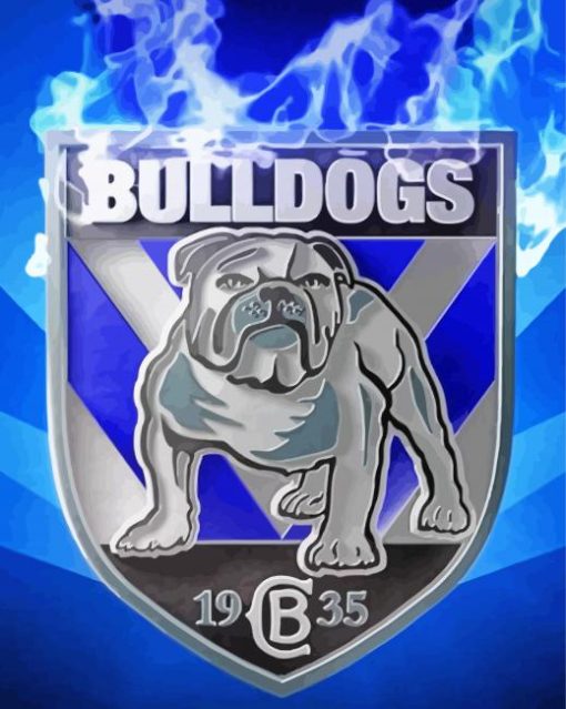 Aesthetic Canterbury Bulldogs Paint By Numbers