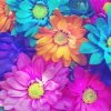 Aesthetic Colorful Daisy Paint By Numbers