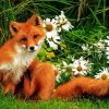 Aesthetic Fox In Flowers Animal Paint By Numbers