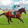 Aesthetic Frankel Paint By Numbers