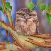 Aesthetic Frogmouth Paint By Numbers