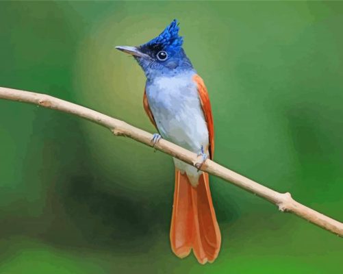 Aesthetic Indian Paradise Flycatcher Bird Paint By Numbers