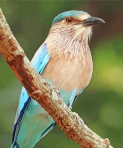 Aesthetic Indian Roller Paint By Numbers