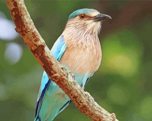 Aesthetic Indian Roller Paint By Numbers