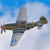 Aesthetic P51 Mustang Paint By Number