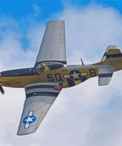 Aesthetic P51 Mustang Paint By Number