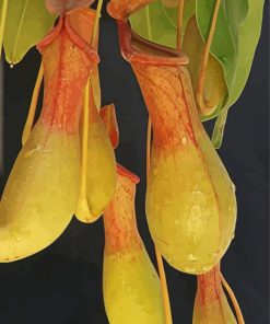 Aesthetic Pitcher Plant Paint By Numbers