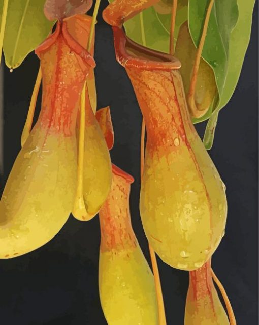 Aesthetic Pitcher Plant Paint By Numbers