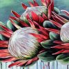 Aesthetic Protea Plant Paint By Numbers