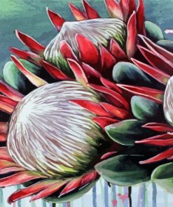 Aesthetic Protea Plant Paint By Numbers