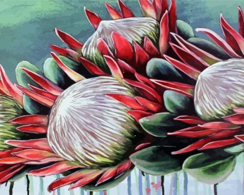 Aesthetic Protea Plant Paint By Numbers