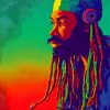 Aesthetic Rasta Man Art Paint By Numbers