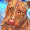 Aesthetic Red Nose Pit Paint By Numbers