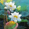 Aesthetic White Lotus Blossom Paint By Numbers