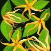 Aesthetic Ylang Ylang Paint By Numbers