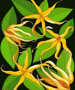 Aesthetic Ylang Ylang Paint By Numbers