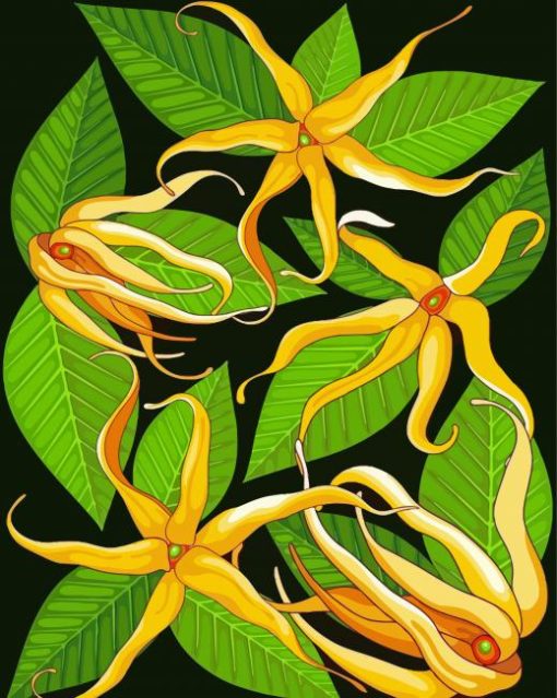 Aesthetic Ylang Ylang Paint By Numbers