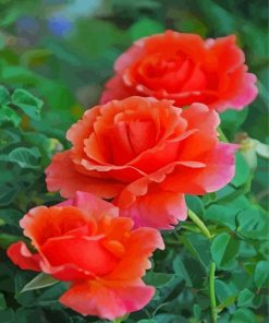 Aesthetic Orange Roses Paint By Numbers