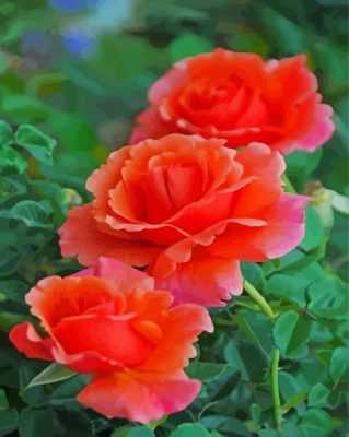 Aesthetic Orange Roses Paint By Numbers