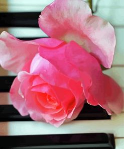 Aesthetic Piano With Pink Rose Paint By Numbers