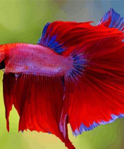 Aesthetic Red Betta Fish Paint By Numbers