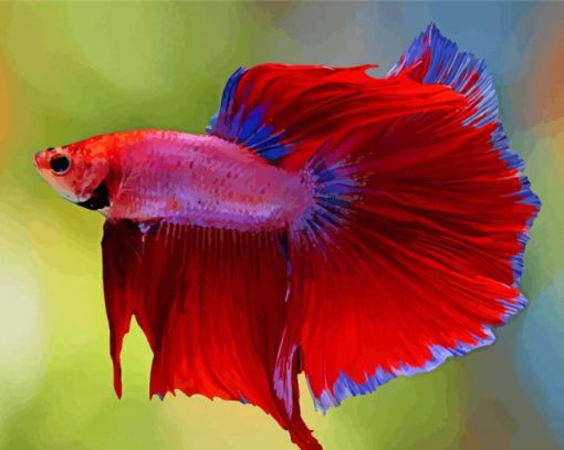 Aesthetic Red Betta Fish Paint By Numbers