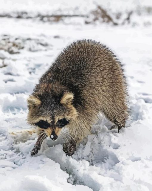 Aesthetic Snow Raccoon Paint By Numbers