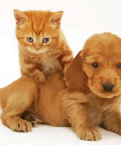 Aesthetic Tabby Kitten And Golden Spaniel Puppy Paint By Numbers