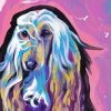 Afghan Hound Dog Art Paint By Numbers