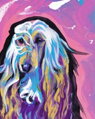 Afghan Hound Dog Art Paint By Numbers