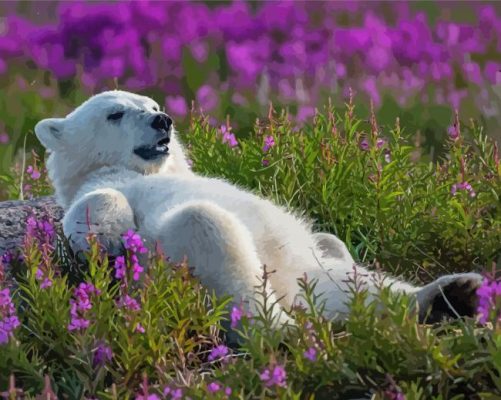 Bear In Lavender Field Paint By Numbers