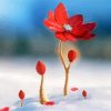 Beautiful Red Spring flower In Snow Paint By Numbers