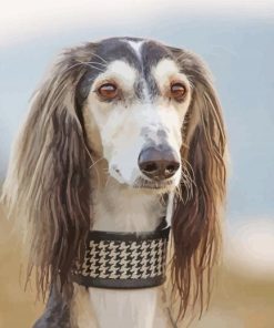 Beautiful Saluki Dog Paint By Numbers