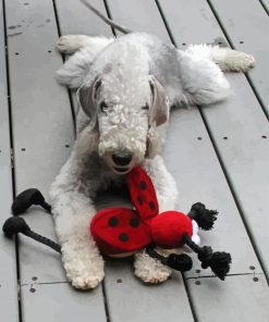 Bedlington Terrier Paint By Numbers