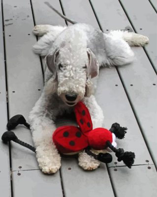 Bedlington Terrier Paint By Numbers