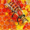 Bee In The Hive Art Paint By Numbers