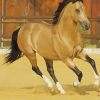 Beige Buckskin Horse Paint By Numbers