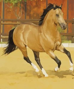 Beige Buckskin Horse Paint By Numbers