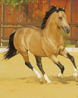 Beige Buckskin Horse Paint By Numbers