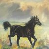 Black Alone Horse Art Paint By Numbers