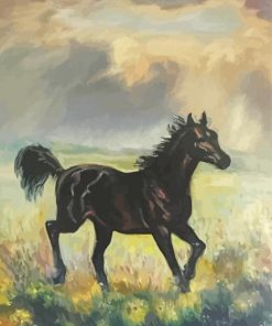 Black Alone Horse Art Paint By Numbers