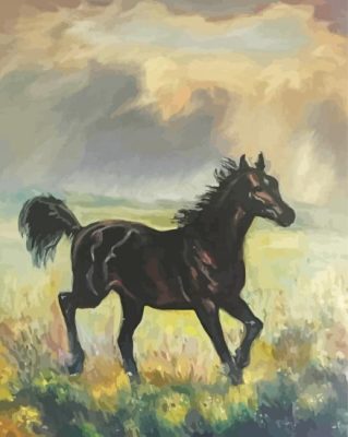 Black Alone Horse Art Paint By Numbers