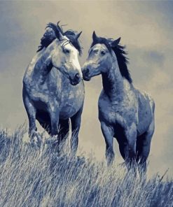 Black And White Couple Horses Paint By Number