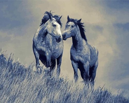 Black And White Couple Horses Paint By Number