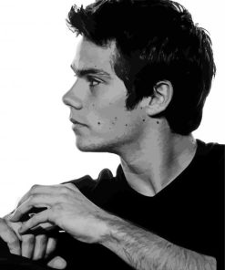 Black And White Dylan Obrien Actor Paint By Numbers